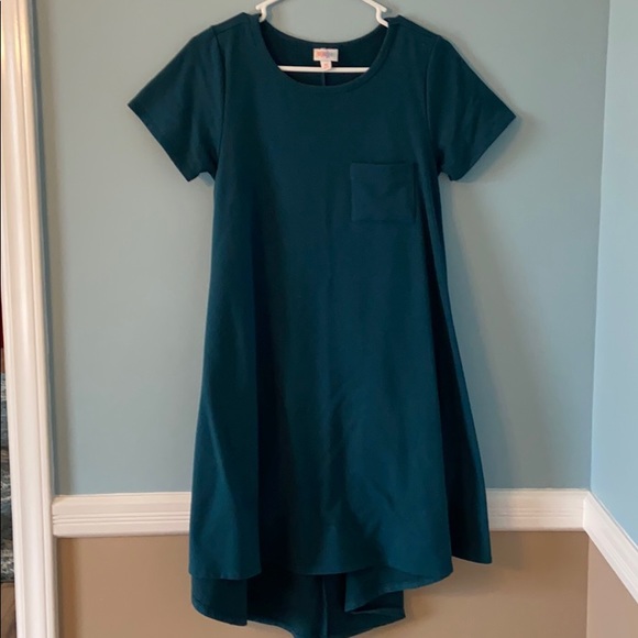 LuLaRoe Dresses & Skirts - Lularoe XS Carly wintergreen